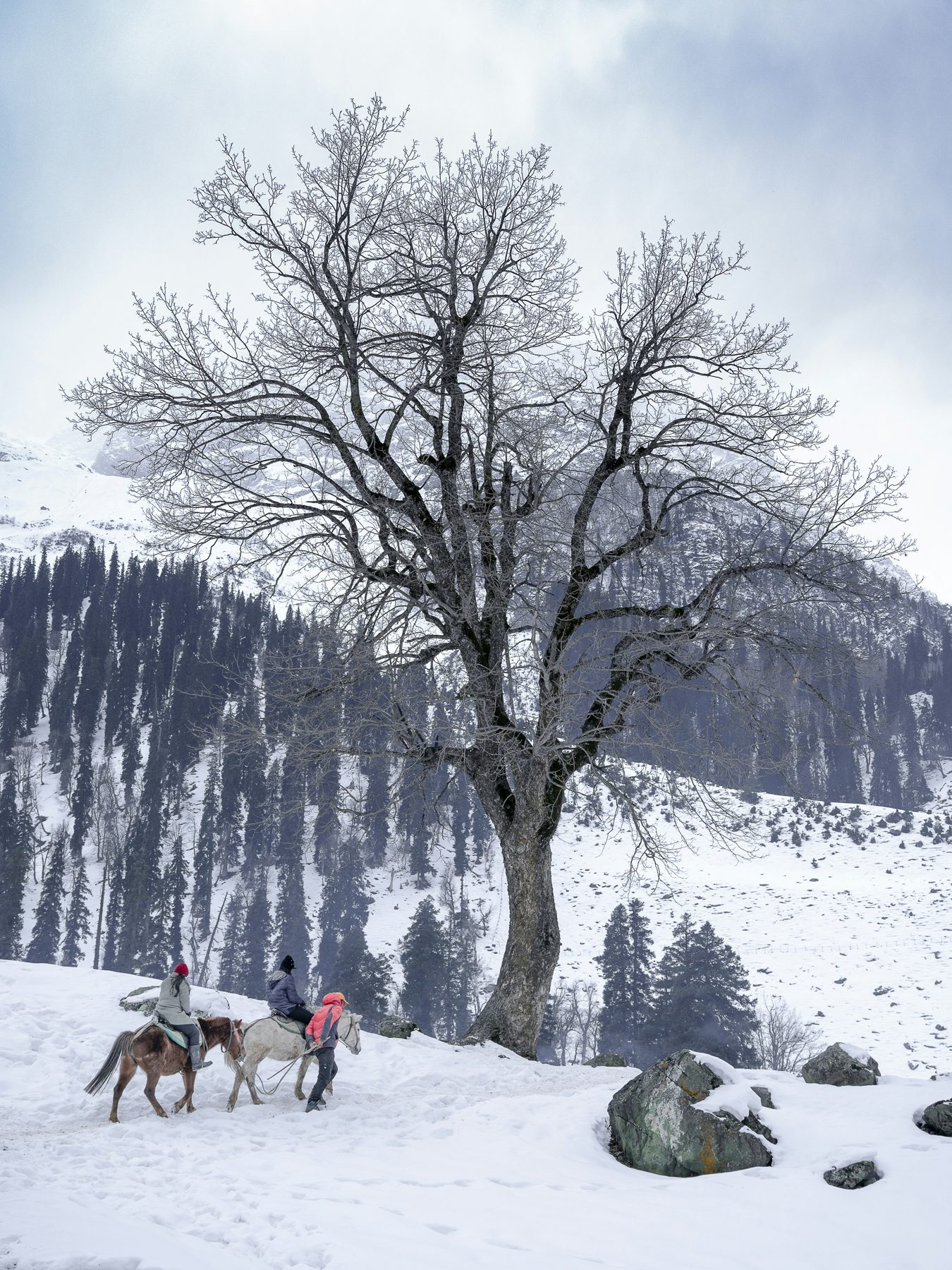Winter